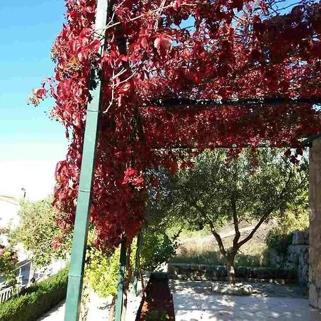 With A Parking Space Podgora, Makarska - 12807 *